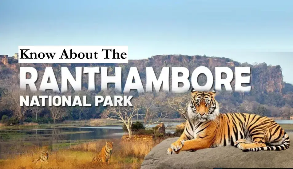 Ranthambhor